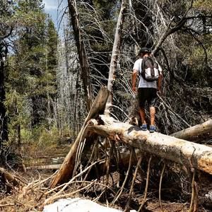 Meet your Posher, Rob